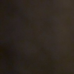 Meet your Posher, Yessica